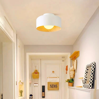 Sleek Metal Dome Light