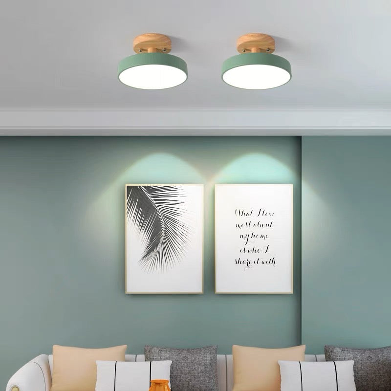 Colorful LED Ceiling Lamp with Modern Design