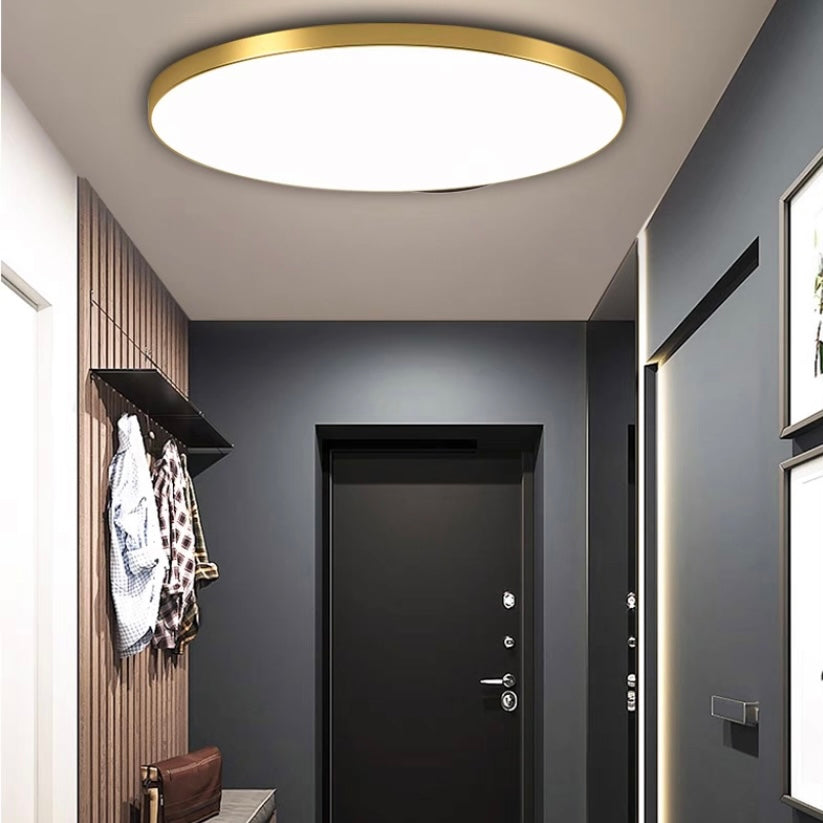 Modern LED Ceiling Light