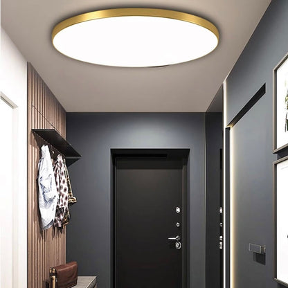 Modern LED Ceiling Light