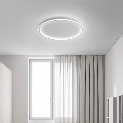 Contemporary Disc Ceiling Lamp