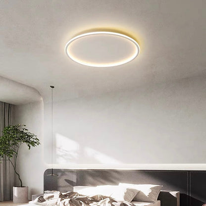 Contemporary Disc Ceiling Lamp
