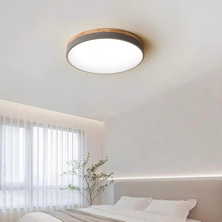 LED Ceiling Light