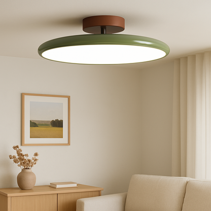 Adjustable Modern Ceiling Light