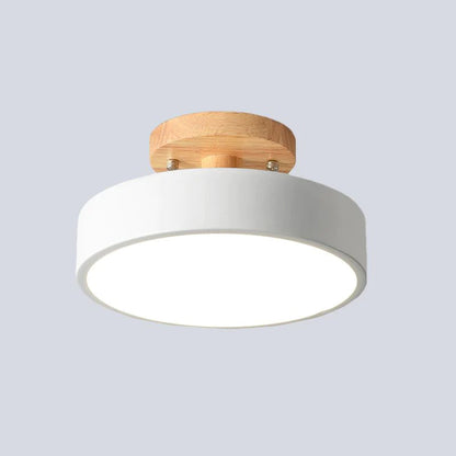 Colorful LED Ceiling Lamp with Modern Design