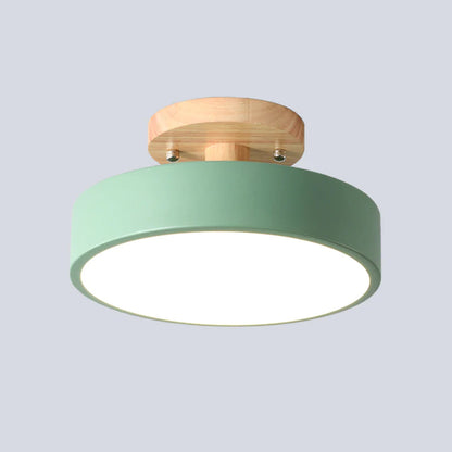 Colorful LED Ceiling Lamp with Modern Design