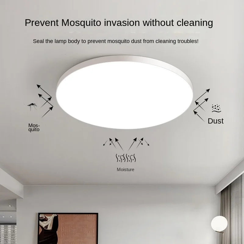 Modern LED Ceiling Light
