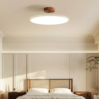 Adjustable Modern Ceiling Light