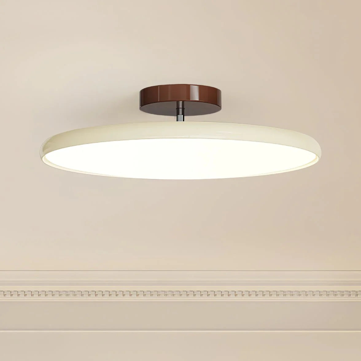 Adjustable Modern Ceiling Light