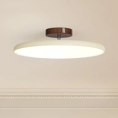 Adjustable Modern Ceiling Light