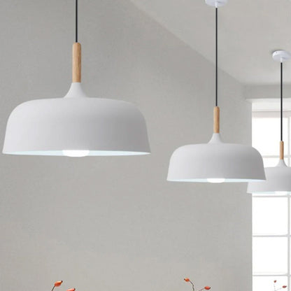 Vibrant Dome Pendant Light