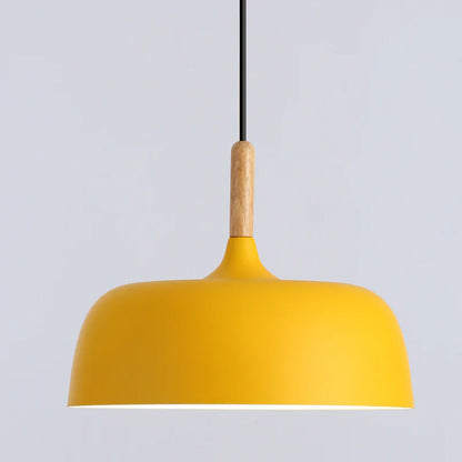 Vibrant Dome Pendant Light