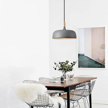 Vibrant Dome Pendant Light