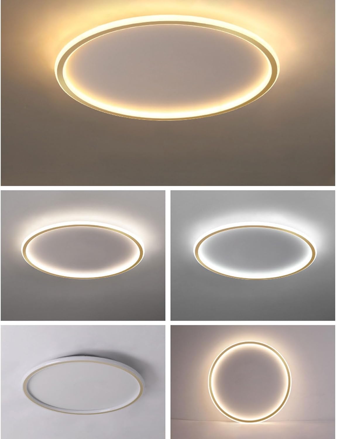 Contemporary Disc Ceiling Lamp
