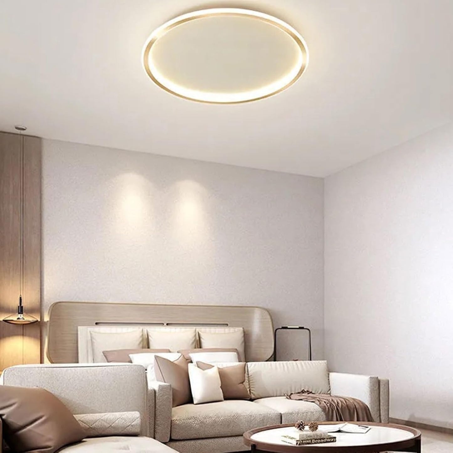 Contemporary Disc Ceiling Lamp