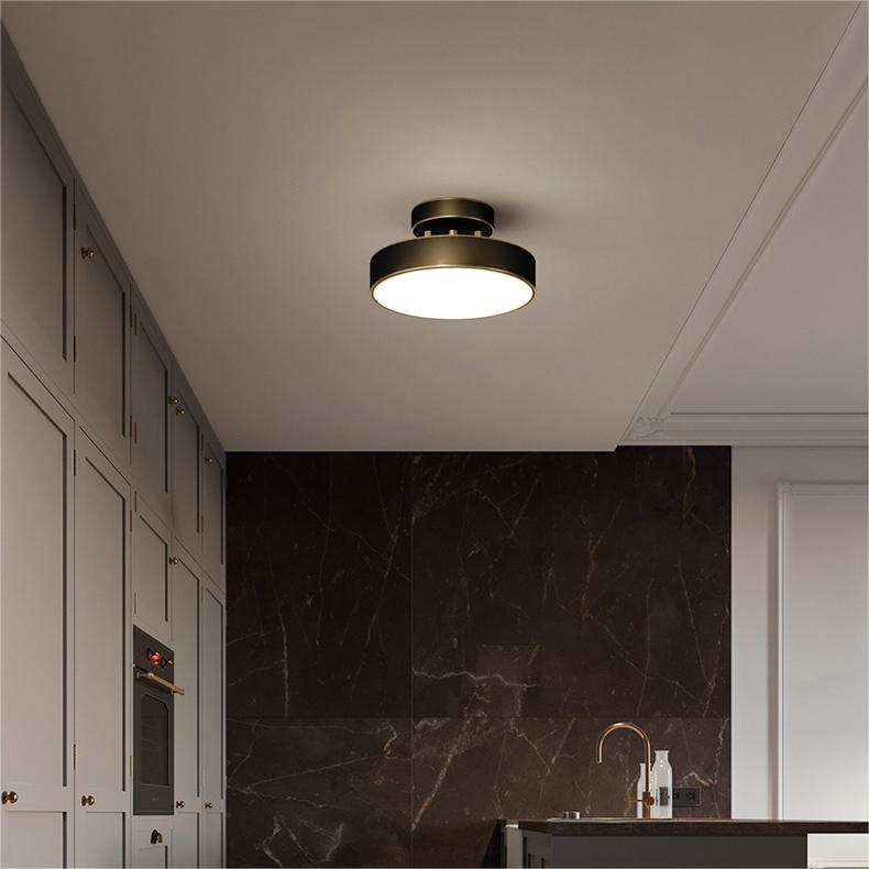 Adjustable LED Ceiling Light