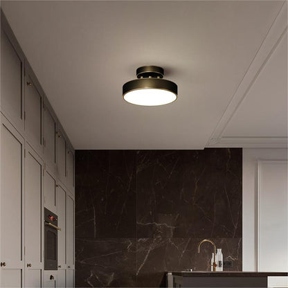 Adjustable LED Ceiling Light