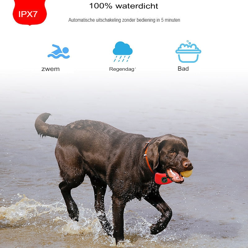 Waterdichte Honden Trainingshalsband met 400m Bereik