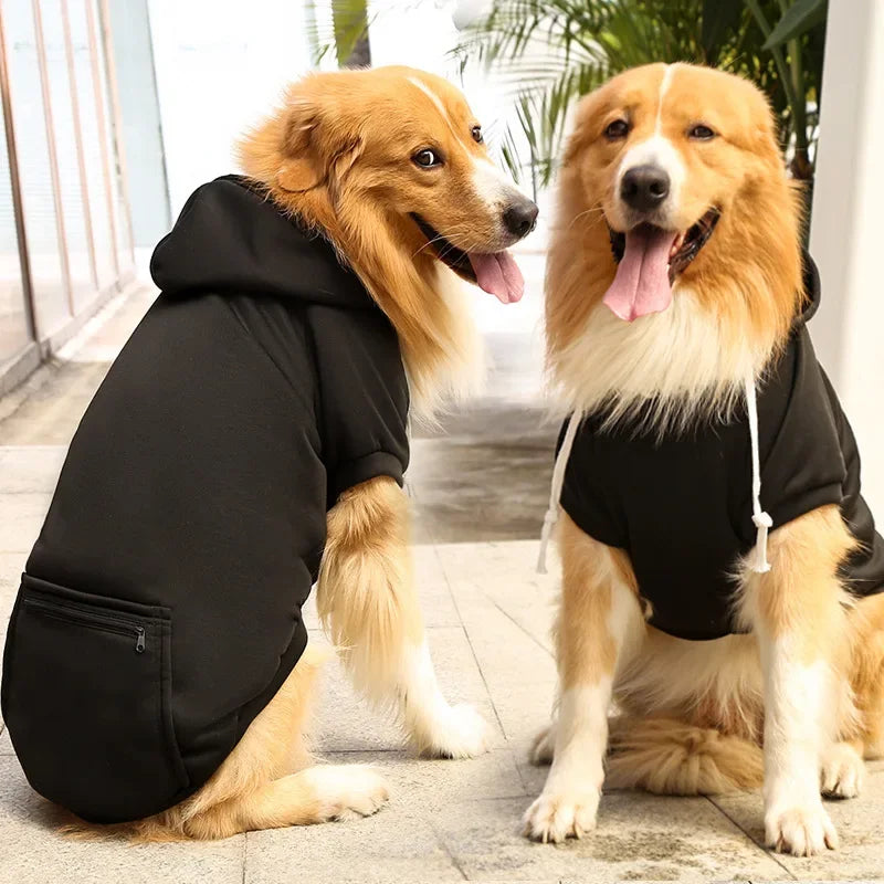 Stijlvolle Winterkleding voor Honden