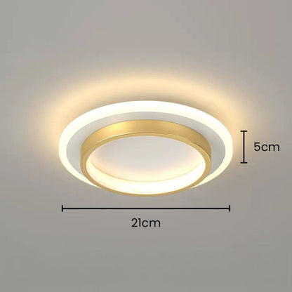 Round Metal & Acrylic Ceiling Light