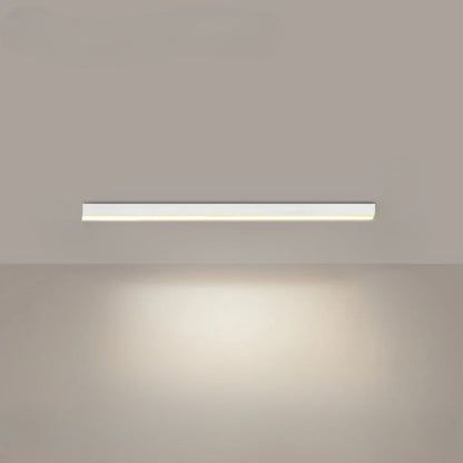 Stylish LED Ceiling Light