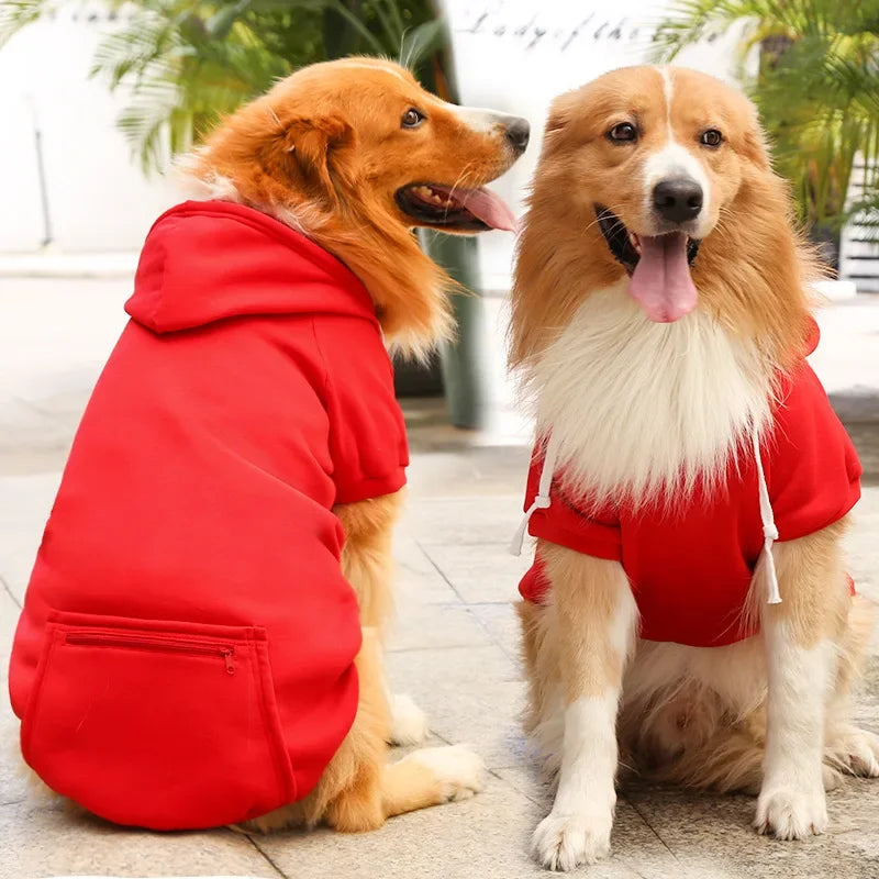 Stijlvolle Winterkleding voor Honden