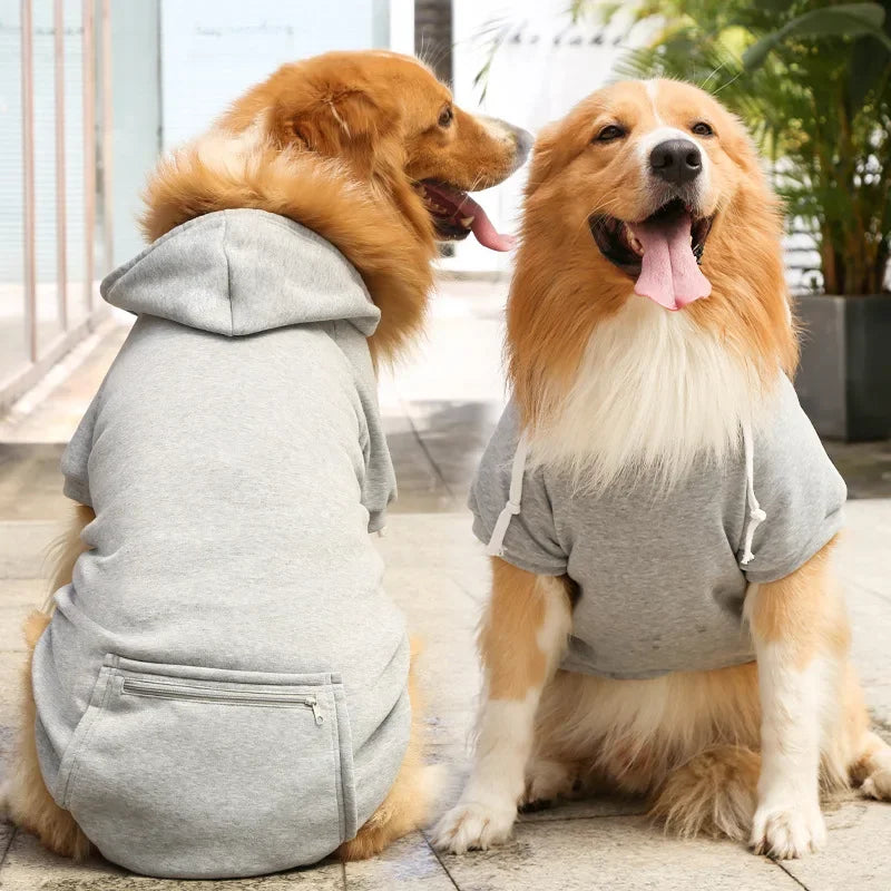 Stijlvolle Winterkleding voor Honden