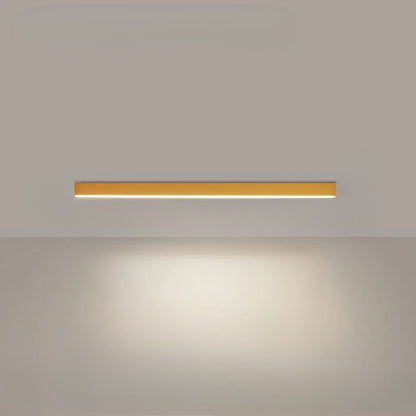 Stylish LED Ceiling Light