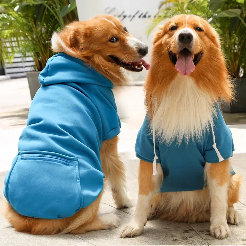 Stijlvolle Winterkleding voor Honden