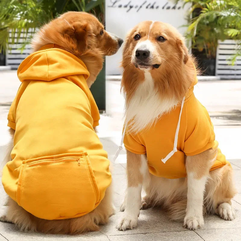 Stijlvolle Winterkleding voor Honden