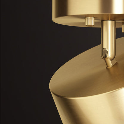 Adjustable LED Ceiling Light