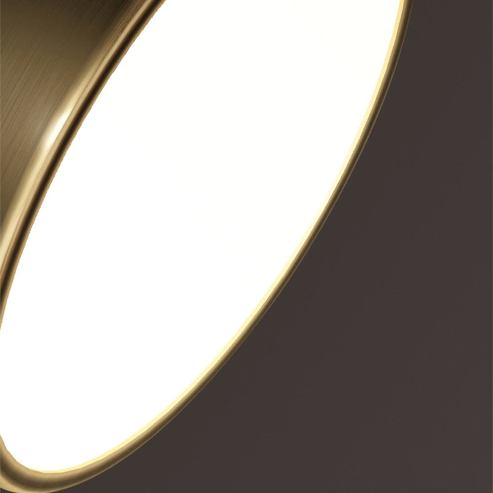 Adjustable LED Ceiling Light