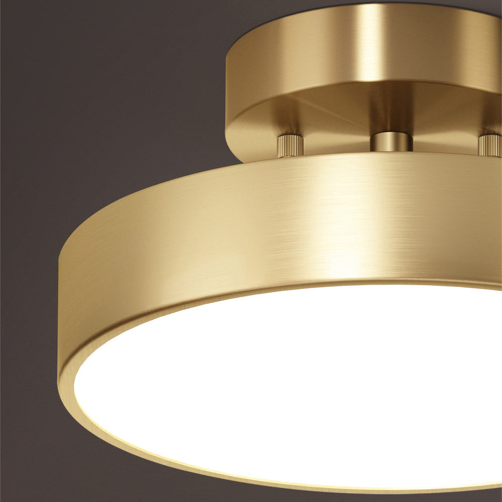 Adjustable LED Ceiling Light