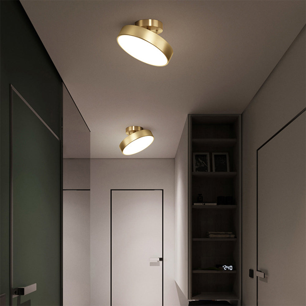 Adjustable LED Ceiling Light