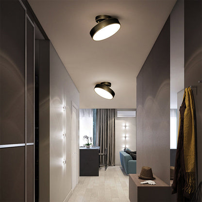 Adjustable LED Ceiling Light