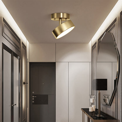 Adjustable LED Ceiling Light