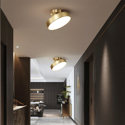 Adjustable LED Ceiling Light