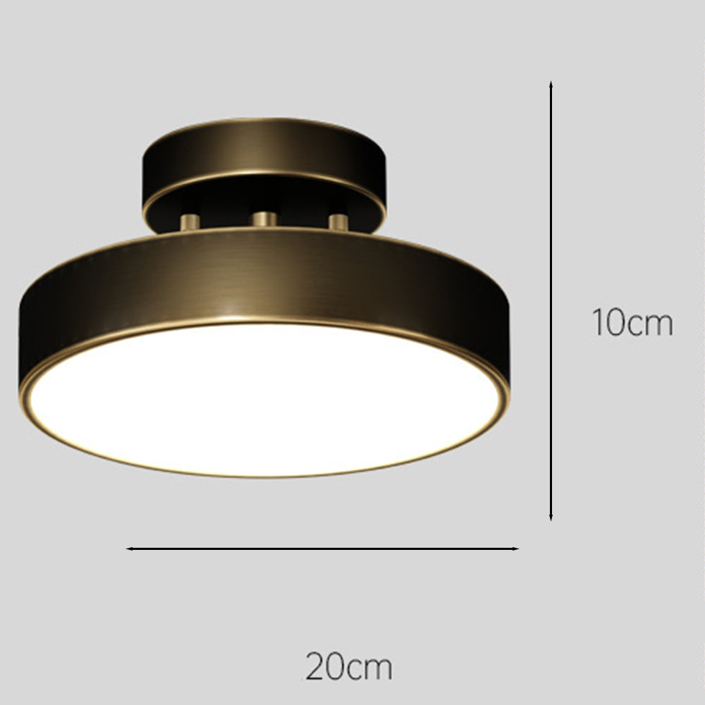 Adjustable LED Ceiling Light