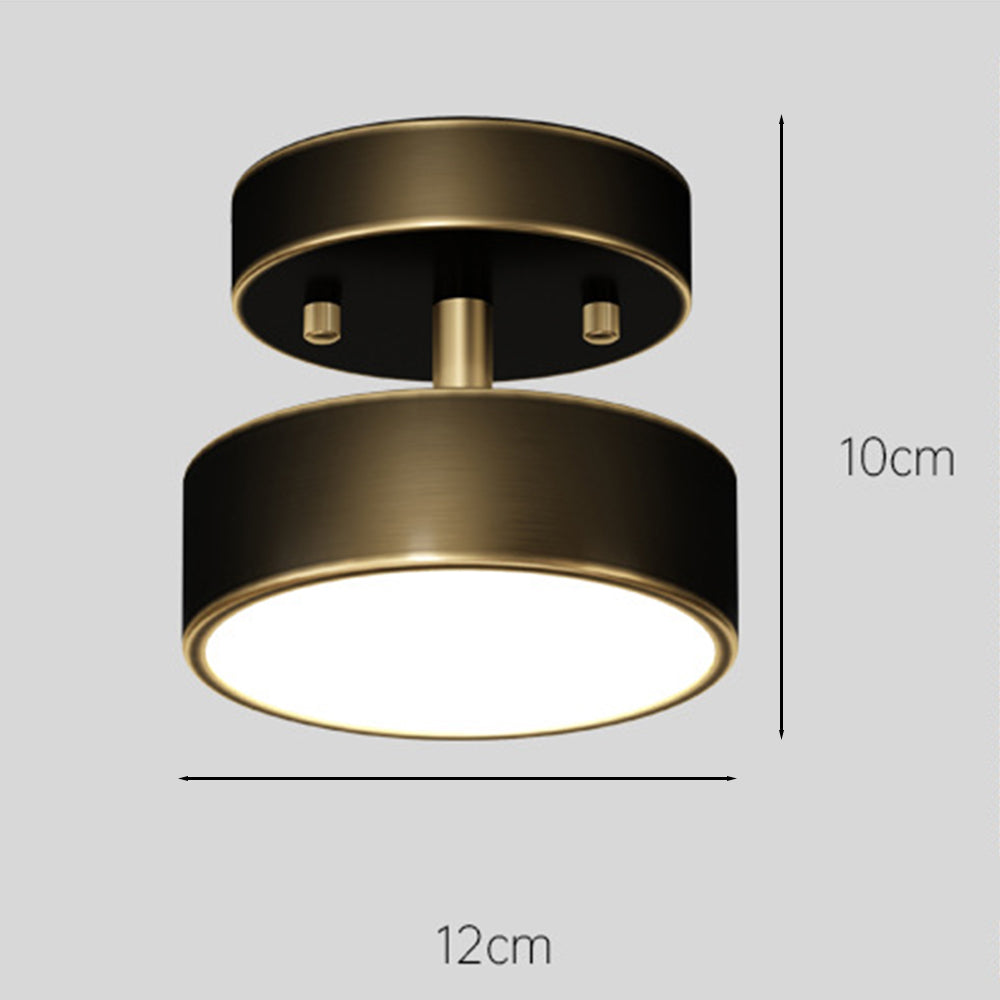 Adjustable LED Ceiling Light