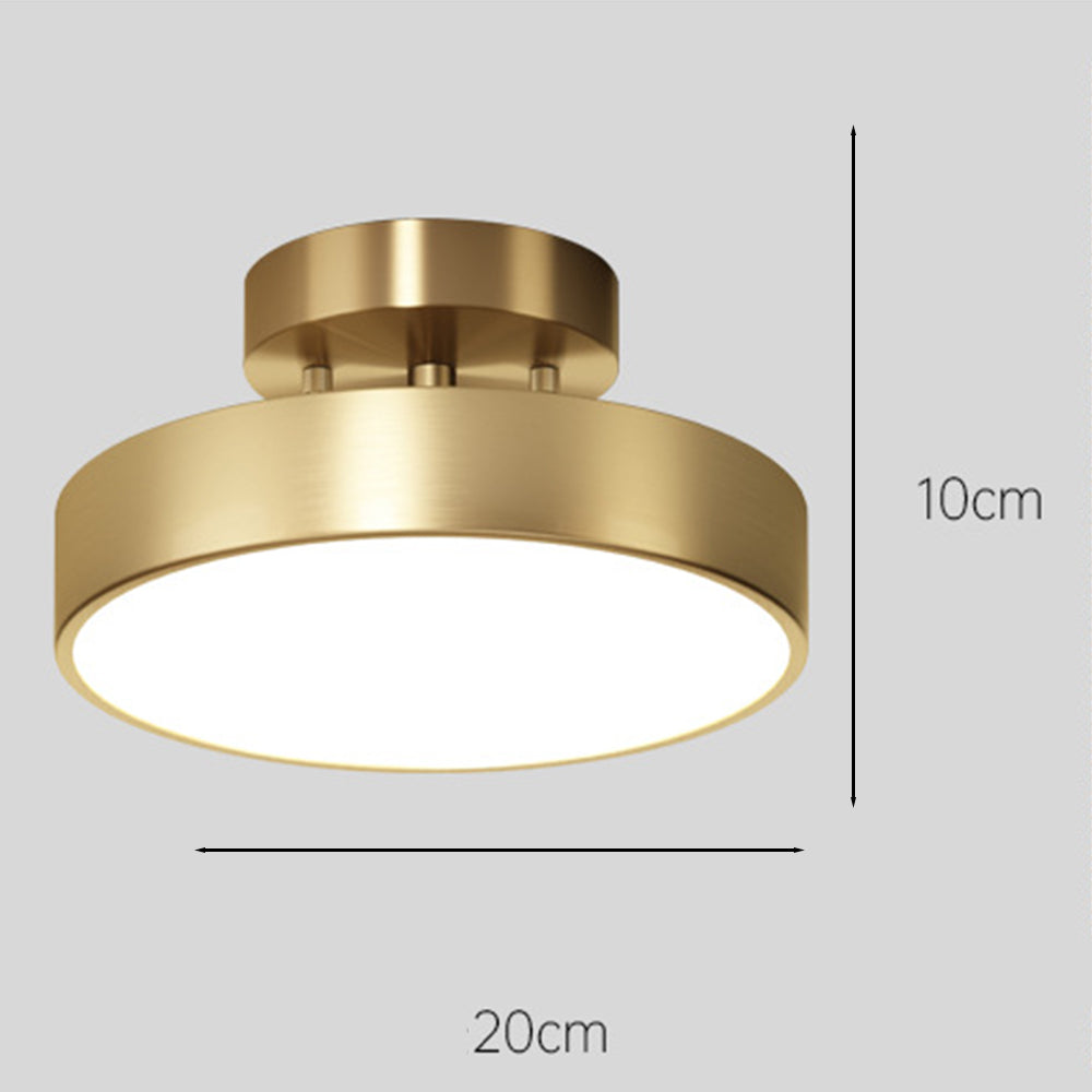 Adjustable LED Ceiling Light