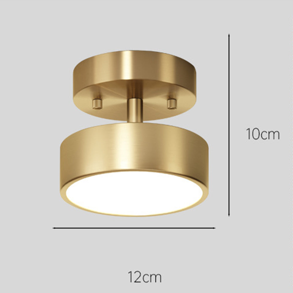 Adjustable LED Ceiling Light