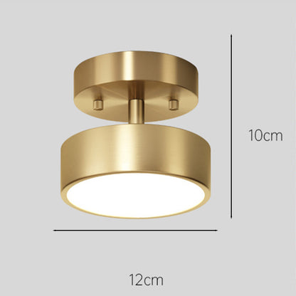 Adjustable LED Ceiling Light