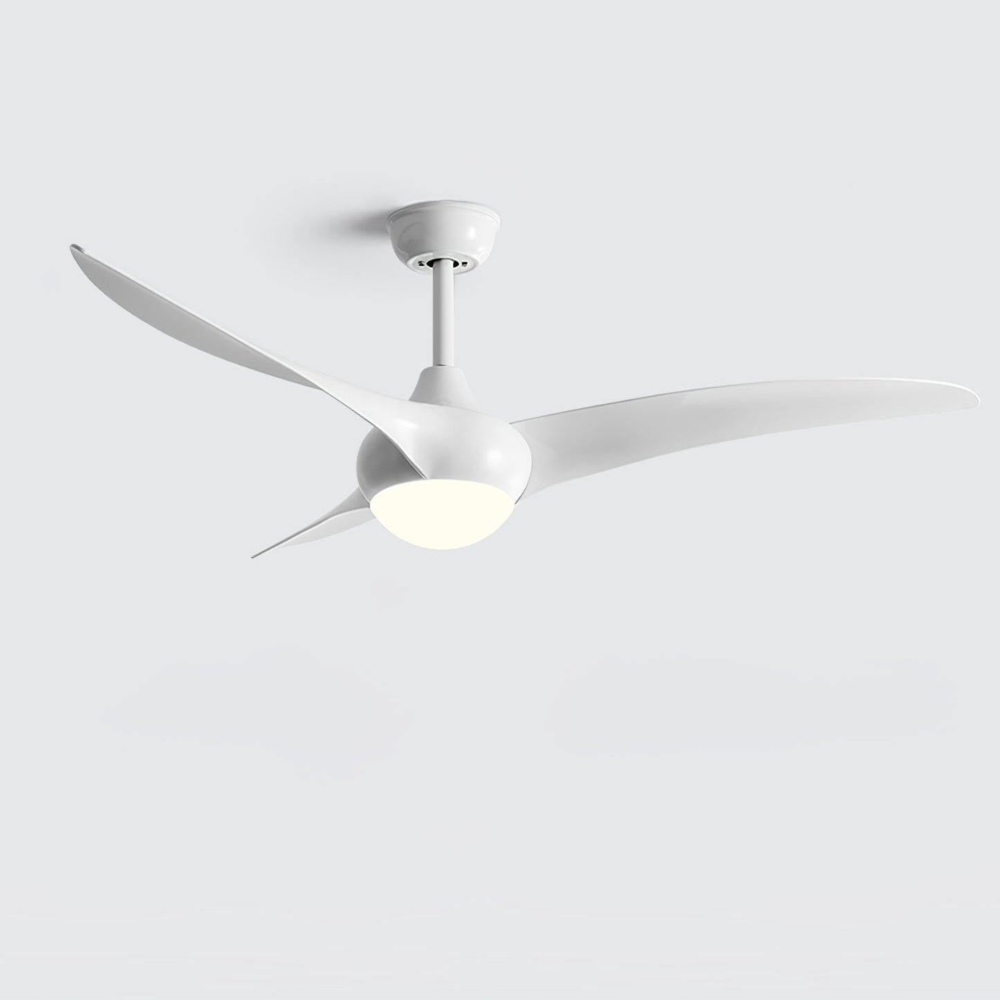 Traditional LED Ceiling Fan Light