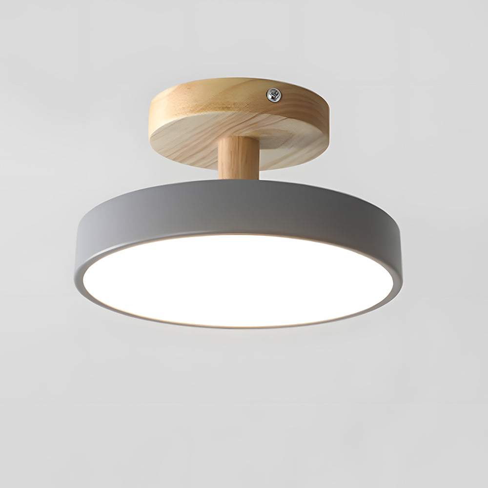 Round Iron LED Ceiling Light