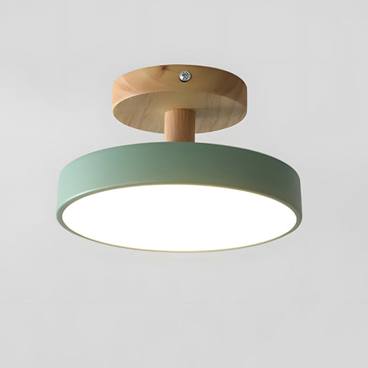 Round Iron LED Ceiling Light