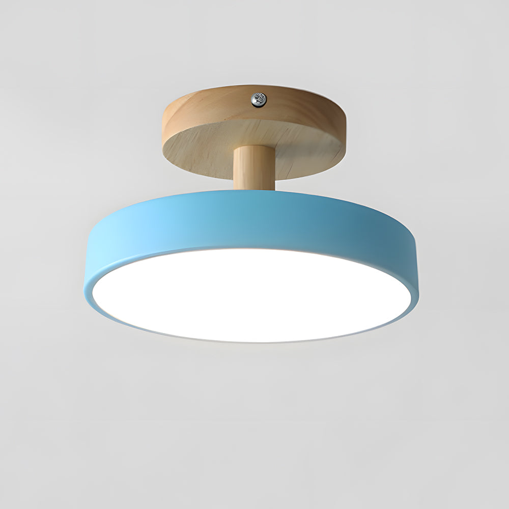 Round Iron LED Ceiling Light