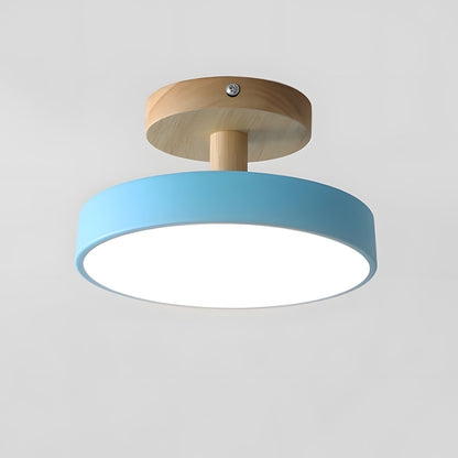 Round Iron LED Ceiling Light