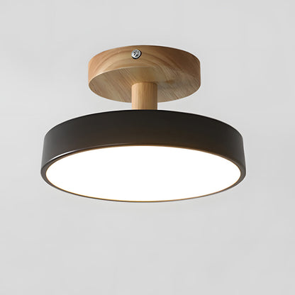 Round Iron LED Ceiling Light
