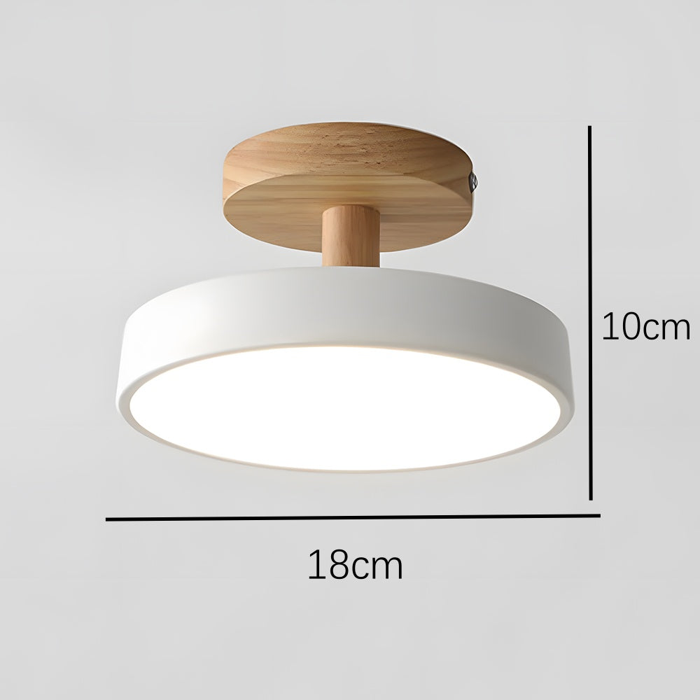 Round Iron LED Ceiling Light