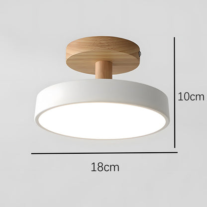 Round Iron LED Ceiling Light